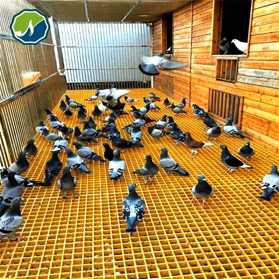 Коррозионностойкая решетка пола FRP, высокопрочный настил палубы стеклоткани